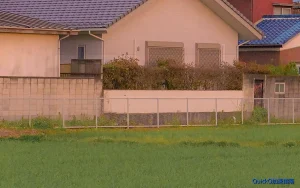 quickq更新版本后设置丢失？这样快速恢复